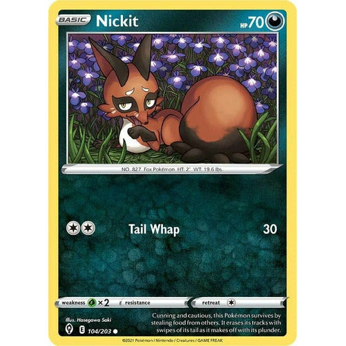104/203 - Nickit Common